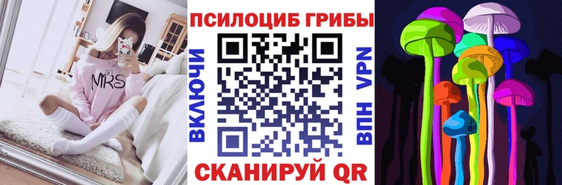 OMG tor  Цивильск  Псилоцибиновые грибы GOLDEN TEACHER 